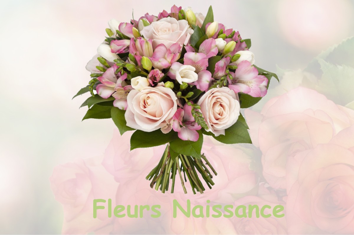 fleurs naissance MOUILLY